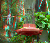 3-D Hummingbird